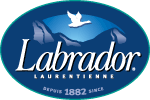 Labrador-LLI-goose-4c02